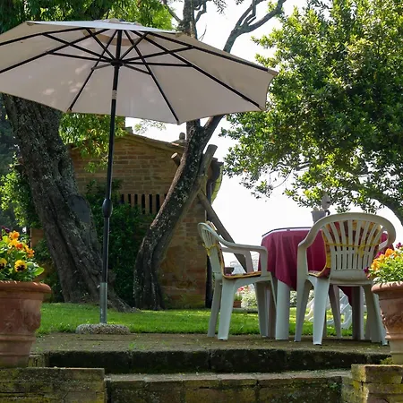 With Garden And Pool Apartment